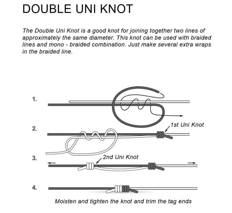 Best Fishing Knots Types Of Fishing Reels