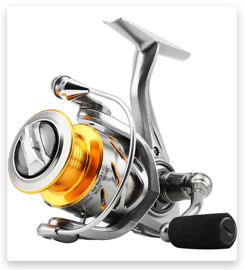 SeaKnight Rapid Saltwater Spinning Reel