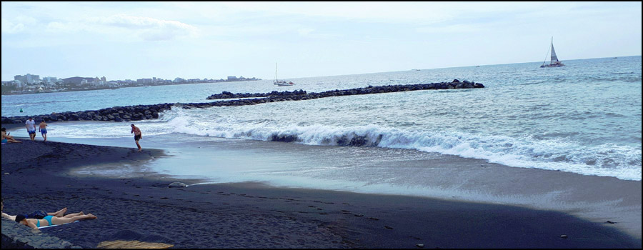 Baits for Sea Bass Revealed