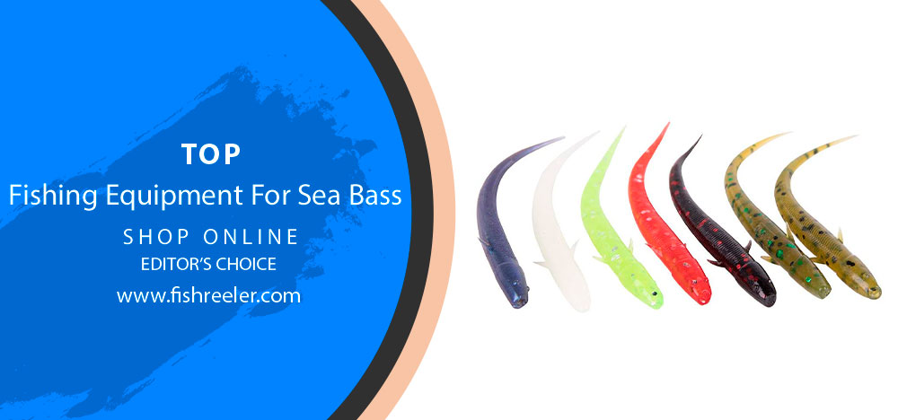 Fishing Equipment For Sea Bass