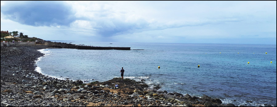 Sea Bass Lures that Work