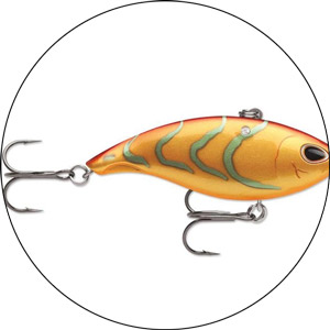 Best Lures And Baits For Sea Bass