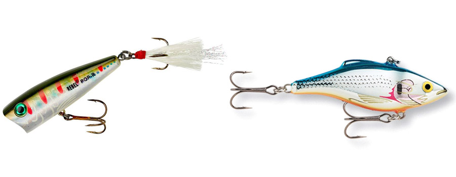 Types of Baits and Lures