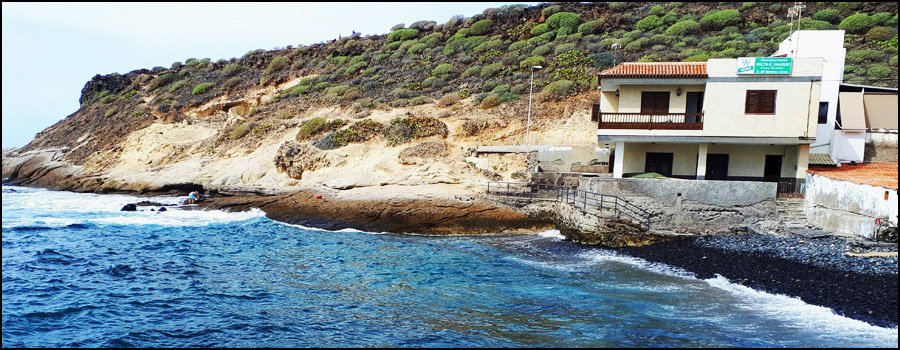 lures and baits for sea bass