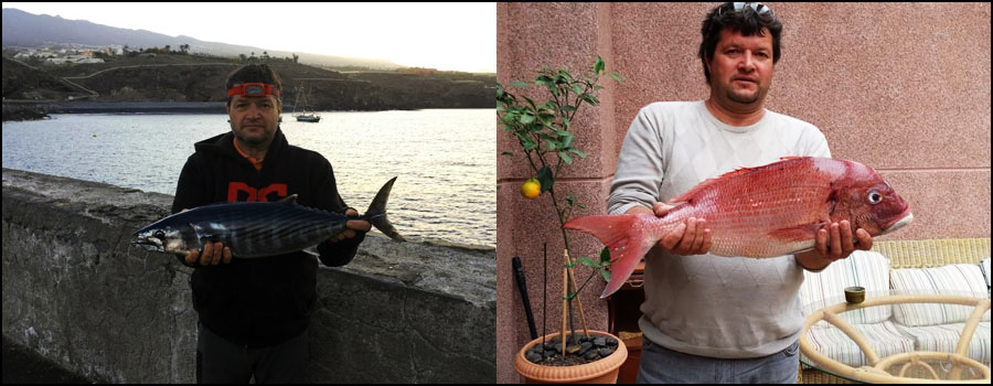 sea bass and other fish