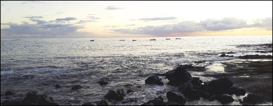 sea bass fishing spots