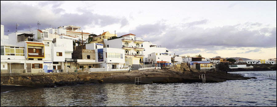 sea bass lures and baits