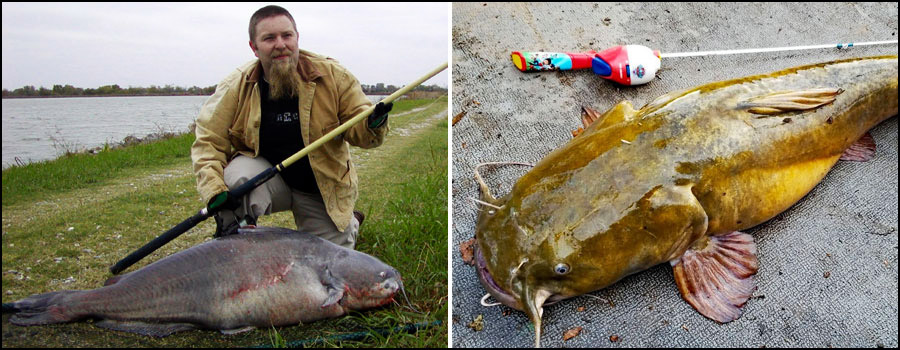 Catfish Rod