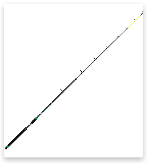 Championship Casting Catfish Rod
