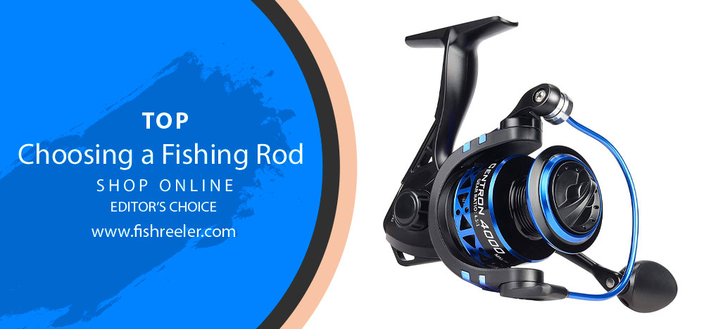 Choosing a Fishing Rod