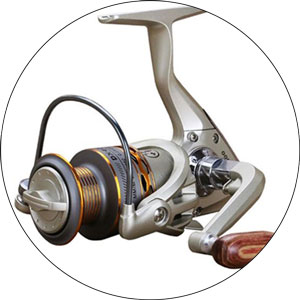 Read more about the article Best Fishing Reel Brands 2023