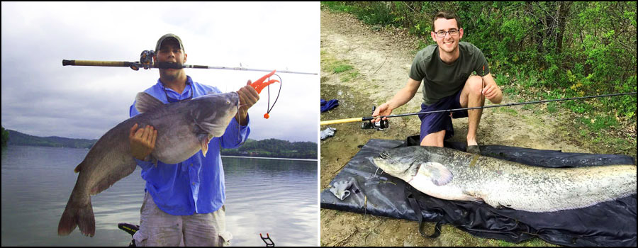 rod for catfish fishing