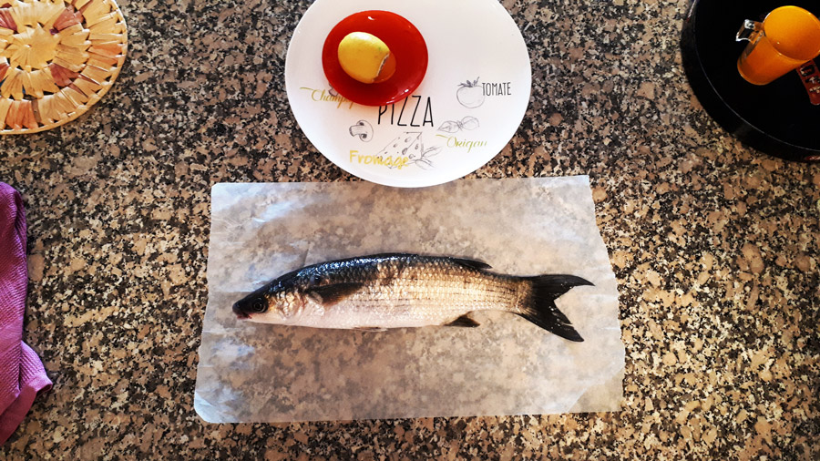 Kefal - lisa fish