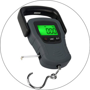 Read more about the article Best Fishing Scale 2022