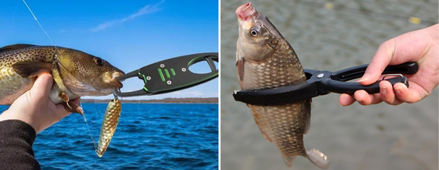 durability fish gripper