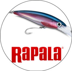 Read more about the article Best Rapala Lures 2023