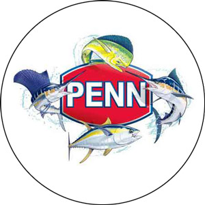Read more about the article Penn Reels Review 2022
