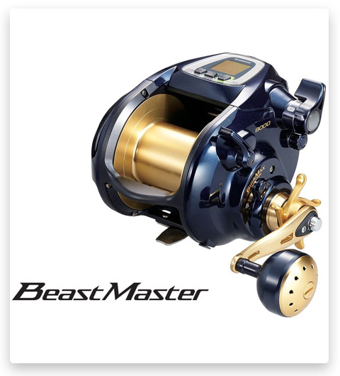 different fishing reels