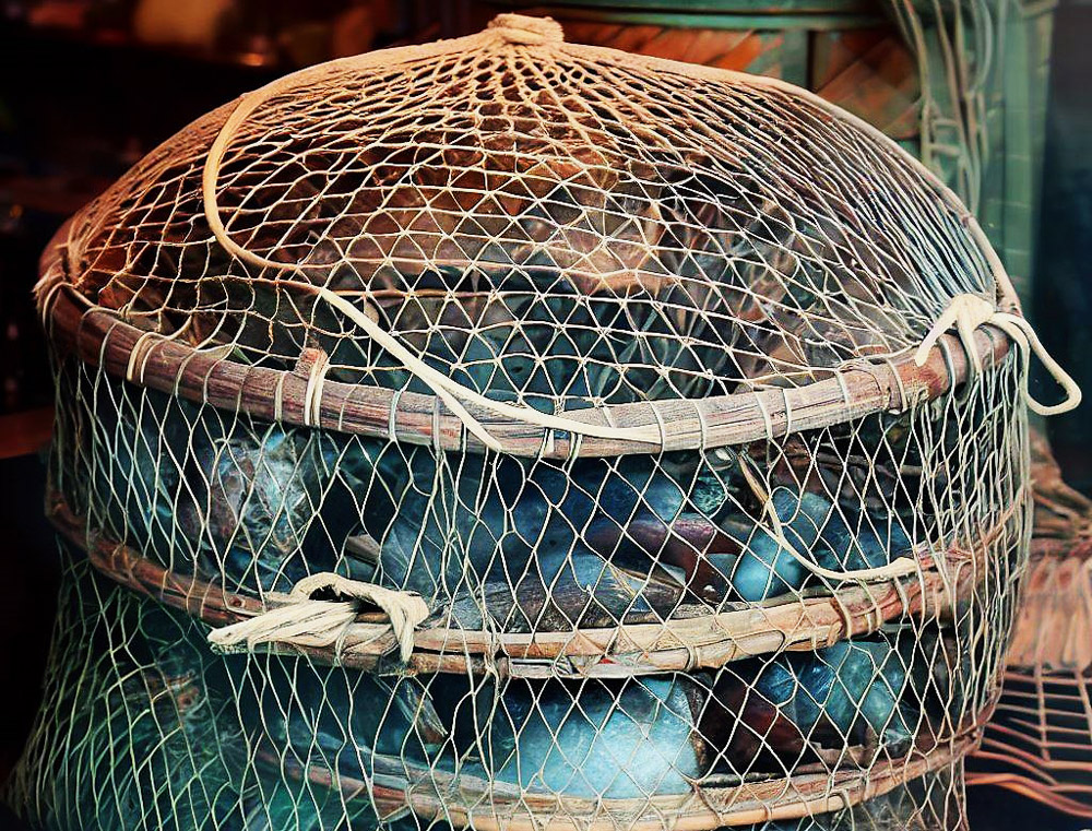 ForEverlast Net Bag 5 Gallon NB-5
