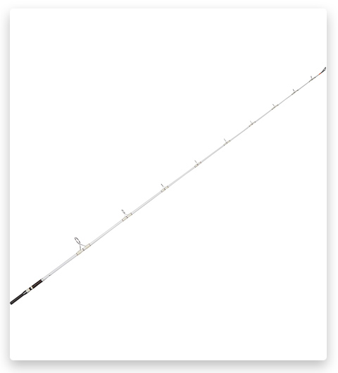 Okuma Battle Cat Catfish Spinning Fishing Rod