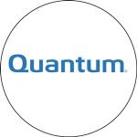 Quantum Reels Review 2022