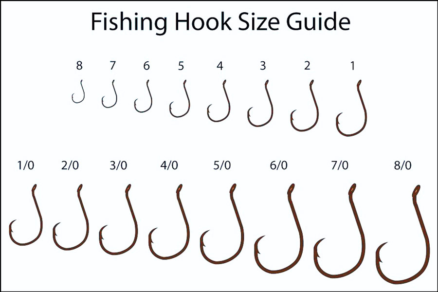Fishing Hook Sizes Guide