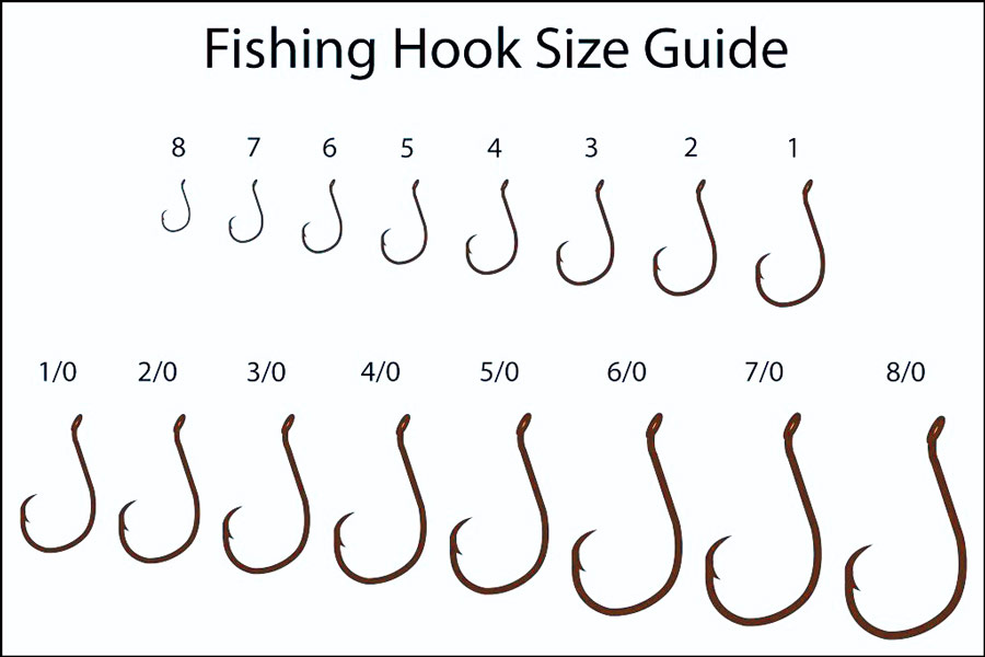 Best Types of Fishing Hooks Review 2020