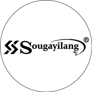 Read more about the article Sougayilang Spinning Fishing Reels 2023