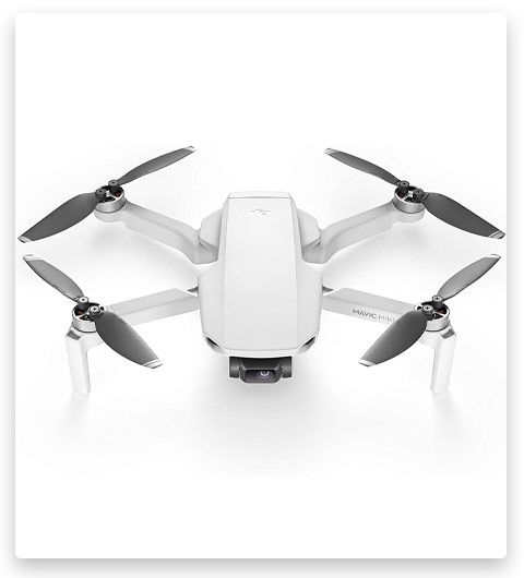 DJI Mavic Mini Drone FlyCam