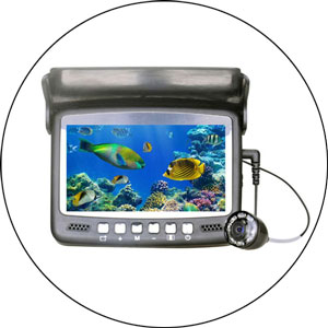 Read more about the article Best Underwater Fishing Camera 2022