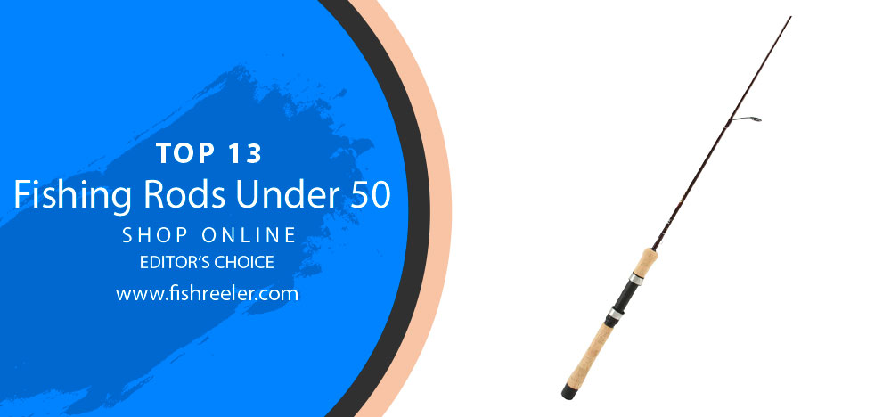 Fishing Rods Under 50