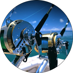Deep Sea Fishing Rods 2022