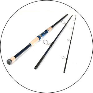 Read more about the article Best Inshore Fishing Rods 2023