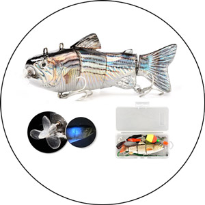 Read more about the article Robotic Fishing Lure 2023