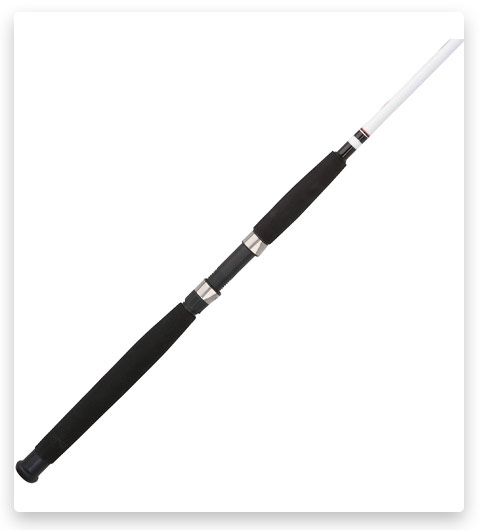 Berkley Fishing Rod