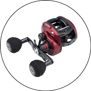 Read more about the article Abu Garcia Reel Review 2022