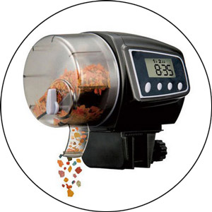Read more about the article Best Automatic Fish Feeder 2023