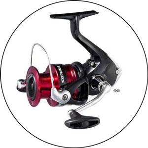 Read more about the article Shimano Sienna Review 2023