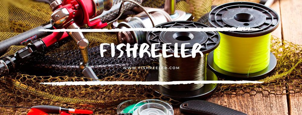 Fishreeler - Fishing Blog