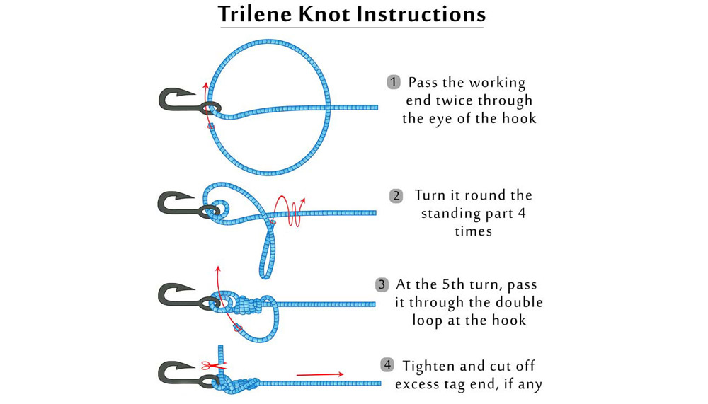 The Trilene Knot