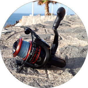 Piscifun Flame Spinning Reel Review