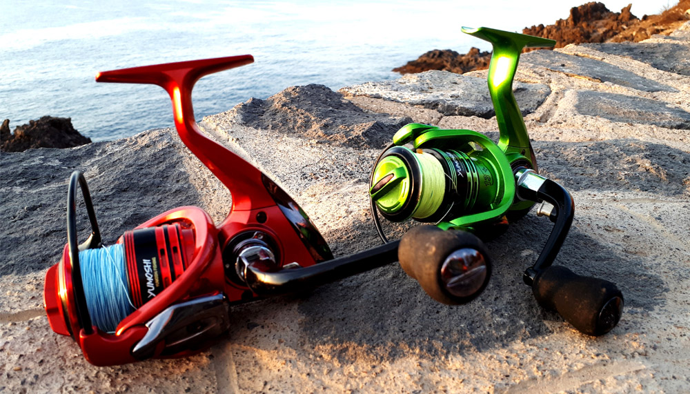 Budget Fishing Reels for Beginners