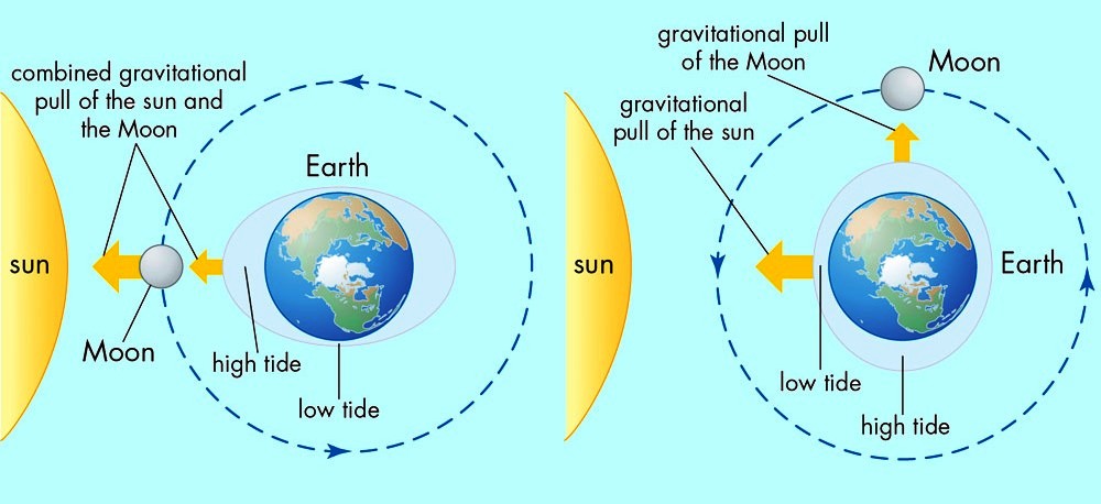 How the Sun and Moon Affect the Ebb and Flow