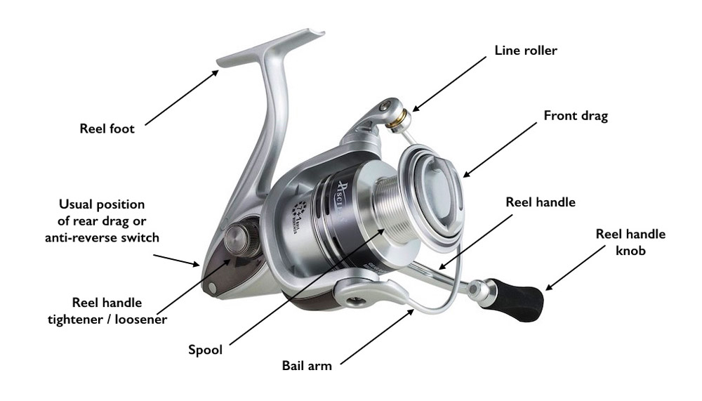 Device Spinning Reel Infographic