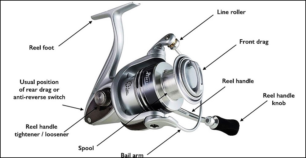 Device Spinning Reel Infographic