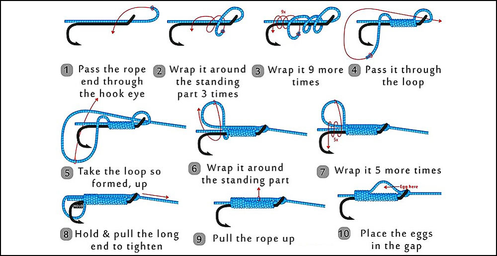 Egg Loop Fishing Knot