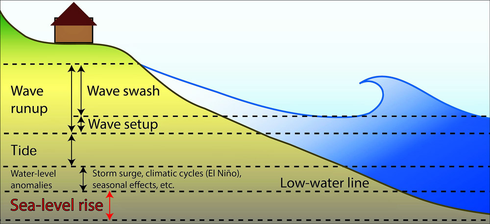 Forma of Wave