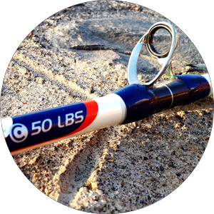 Read more about the article Caperlan 300 Game Trolling Rod 50 Lb Review