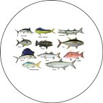 Types of Fish for Fishing in America