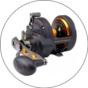 Read more about the article Best Penn Reel For Surf Fishing